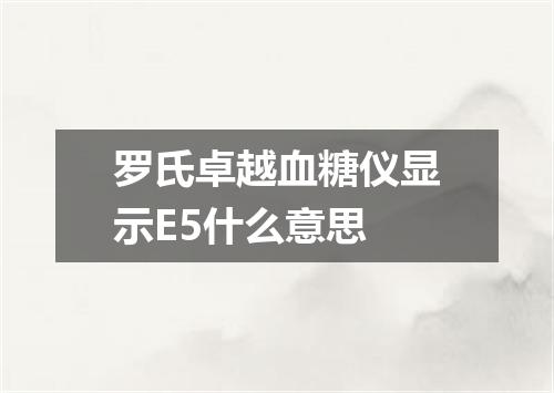 罗氏卓越血糖仪显示E5什么意思