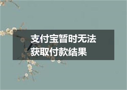 支付宝暂时无法获取付款结果