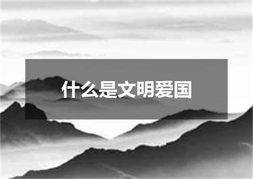 什么是文明爱国