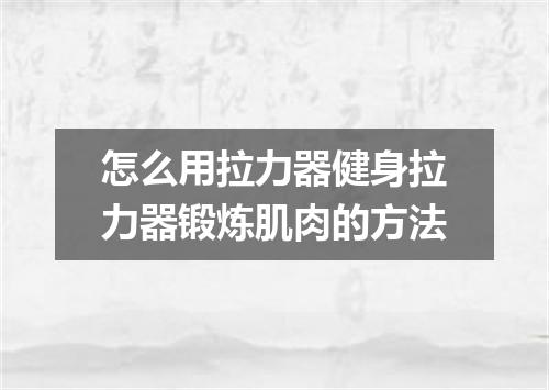 怎么用拉力器健身拉力器锻炼肌肉的方法