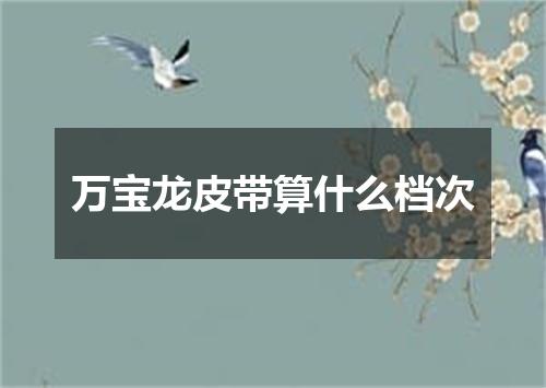 万宝龙皮带算什么档次