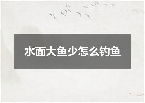 水面大鱼少怎么钓鱼