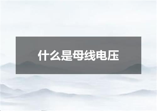 什么是母线电压