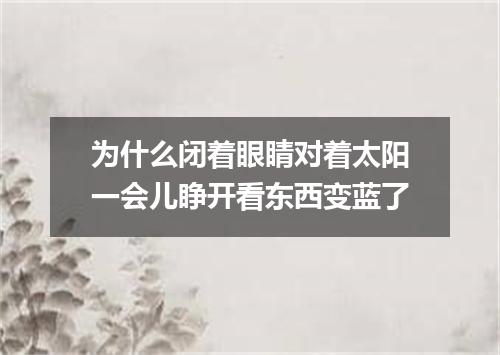 为什么闭着眼睛对着太阳一会儿睁开看东西变蓝了
