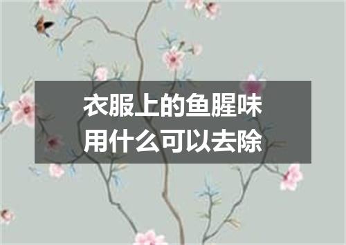 衣服上的鱼腥味用什么可以去除