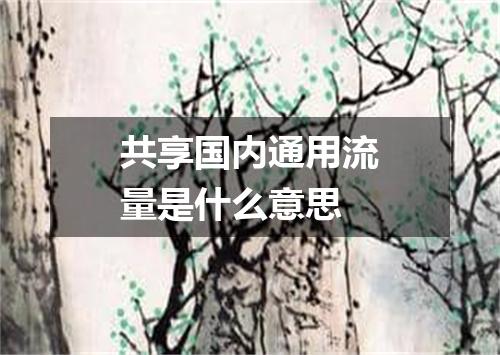 共享国内通用流量是什么意思