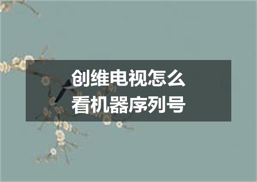 创维电视怎么看机器序列号