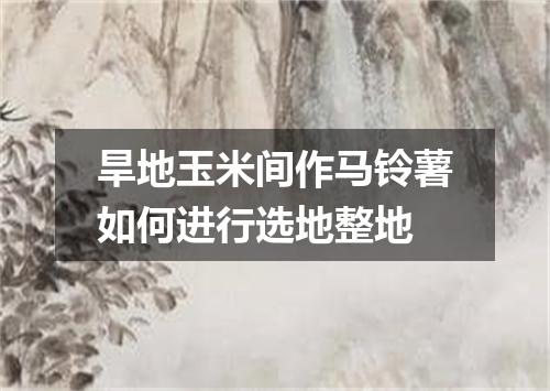 旱地玉米间作马铃薯如何进行选地整地