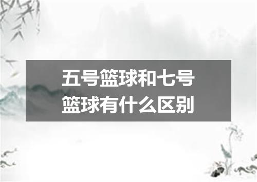 五号篮球和七号篮球有什么区别
