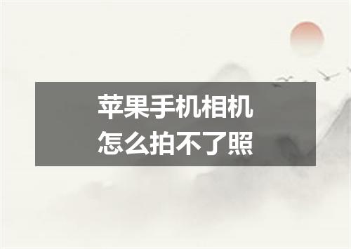 苹果手机相机怎么拍不了照