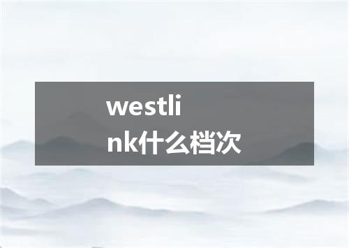 westlink什么档次