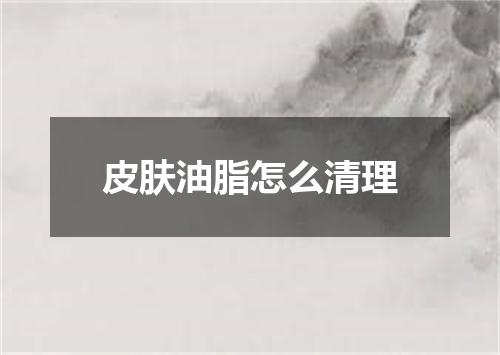皮肤油脂怎么清理
