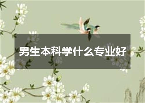 男生本科学什么专业好