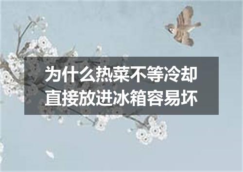 为什么热菜不等冷却直接放进冰箱容易坏
