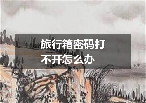 旅行箱密码打不开怎么办