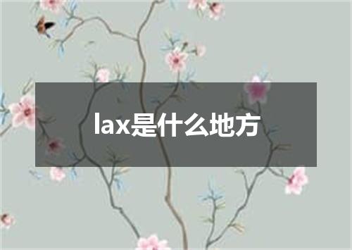 lax是什么地方
