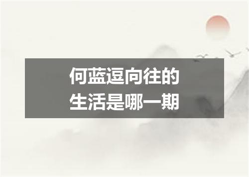 何蓝逗向往的生活是哪一期