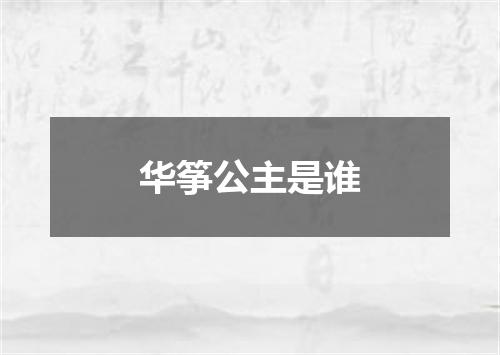 华筝公主是谁