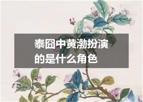 泰囧中黄渤扮演的是什么角色
