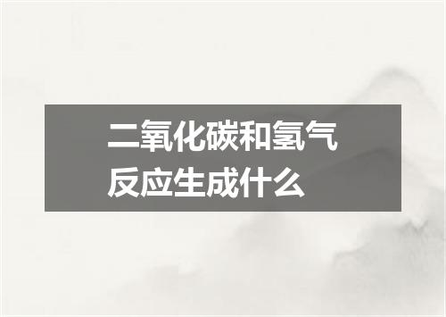 二氧化碳和氢气反应生成什么