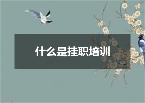 什么是挂职培训