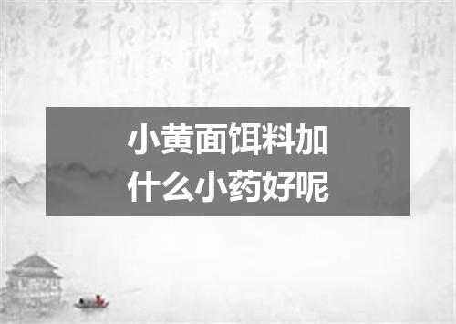 小黄面饵料加什么小药好呢
