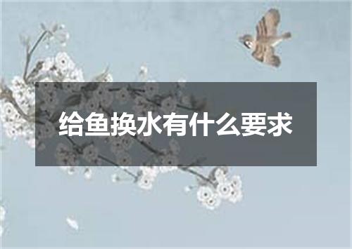 给鱼换水有什么要求