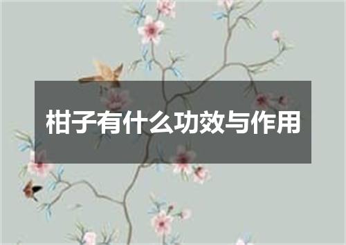 柑子有什么功效与作用