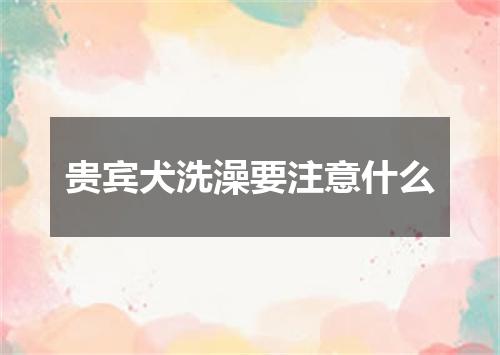 贵宾犬洗澡要注意什么