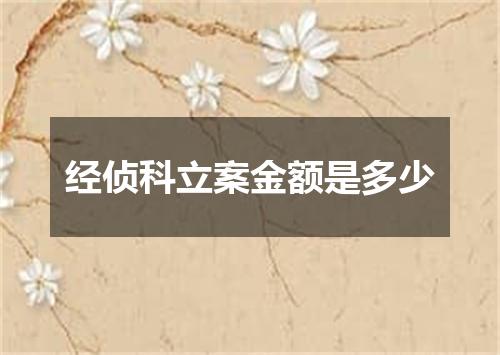 经侦科立案金额是多少