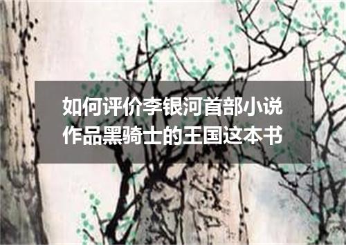 如何评价李银河首部小说作品黑骑士的王国这本书