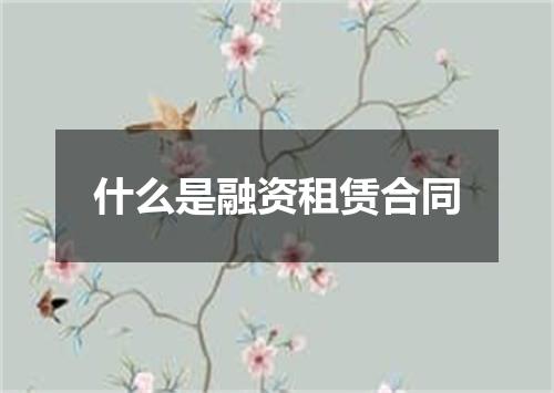 什么是融资租赁合同