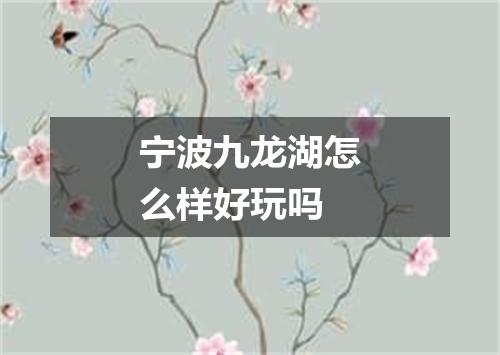 宁波九龙湖怎么样好玩吗