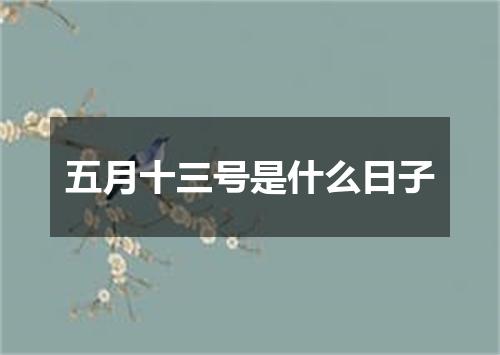 五月十三号是什么日子