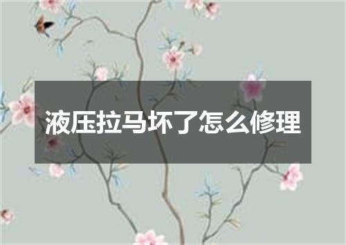 液压拉马坏了怎么修理