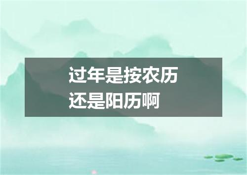 过年是按农历还是阳历啊