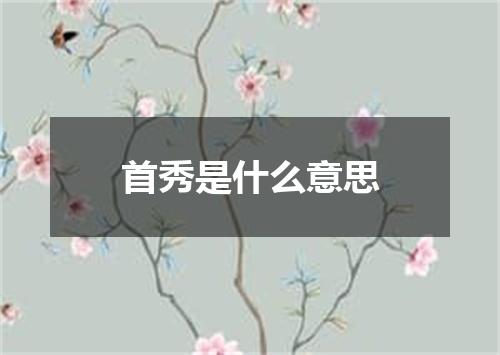 首秀是什么意思