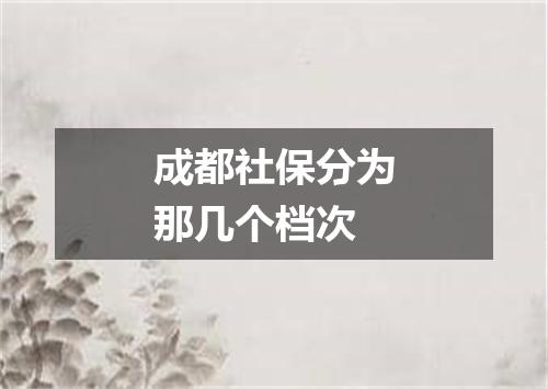 成都社保分为那几个档次