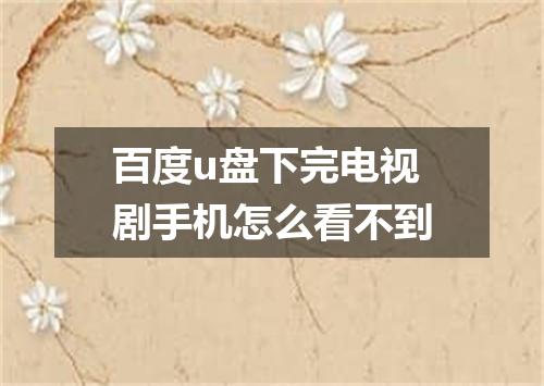 百度u盘下完电视剧手机怎么看不到