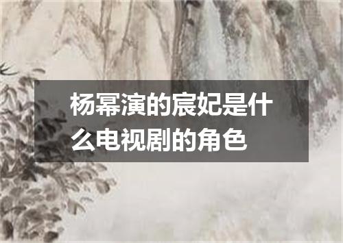 杨幂演的宸妃是什么电视剧的角色