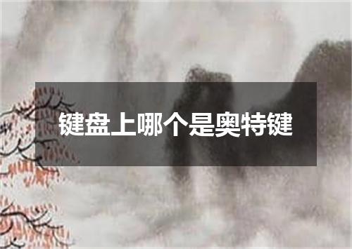 键盘上哪个是奥特键