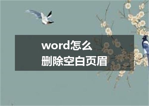 word怎么删除空白页眉