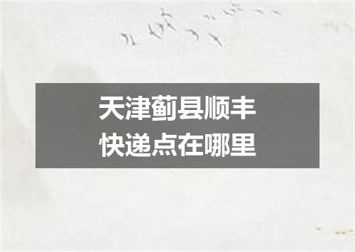 天津蓟县顺丰快递点在哪里