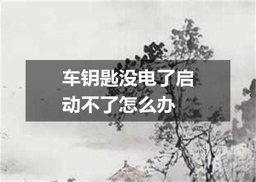 车钥匙没电了启动不了怎么办