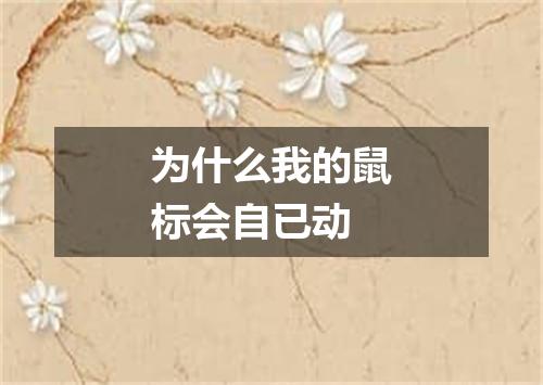 为什么我的鼠标会自已动