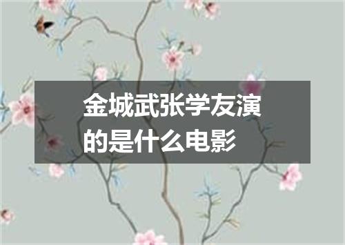 金城武张学友演的是什么电影