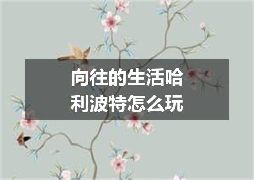 向往的生活哈利波特怎么玩