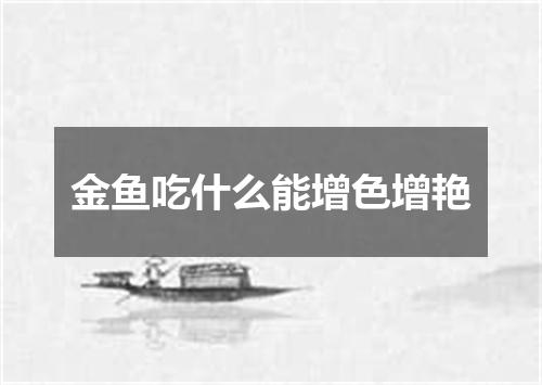 金鱼吃什么能增色增艳