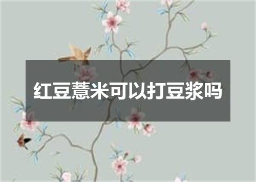红豆薏米可以打豆浆吗