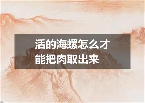 活的海螺怎么才能把肉取出来